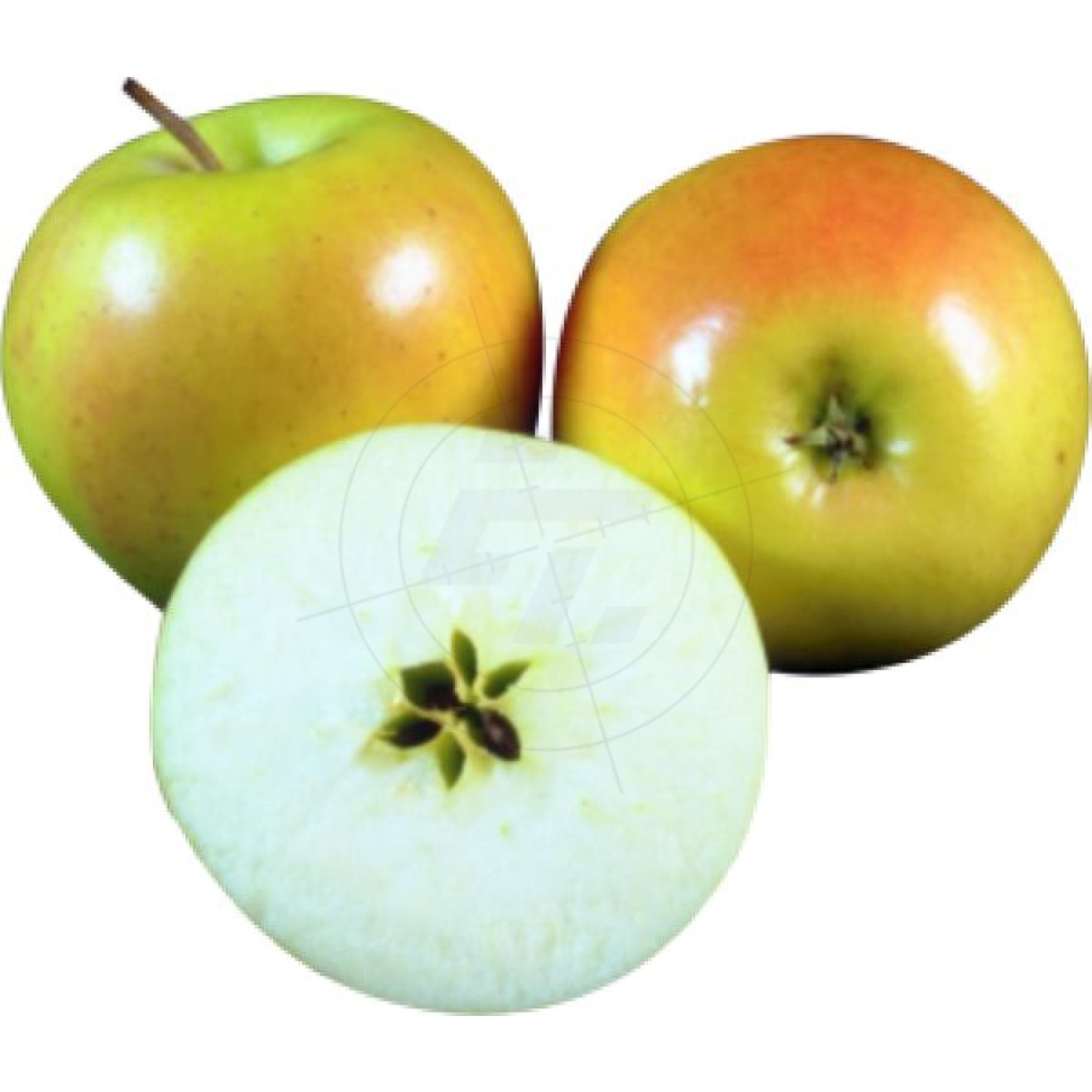 Aufkleber Äpfel, einer halbiert, Schaufensteraufkleber und
